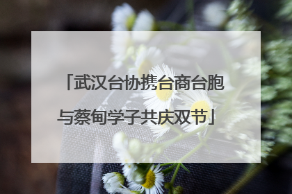 武汉台协携台商台胞与蔡甸学子共庆双节