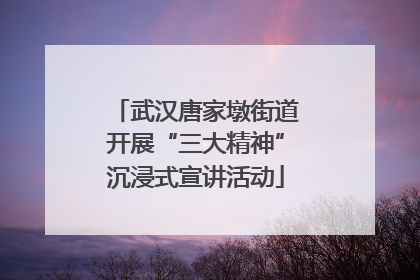 武汉唐家墩街道开展“三大精神”沉浸式宣讲活动