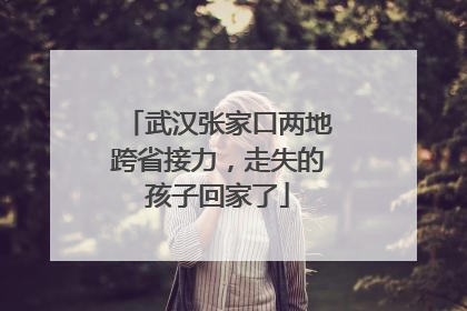 武汉张家口两地跨省接力，走失的孩子回家了