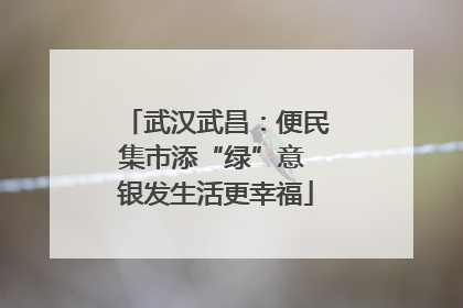 武汉武昌：便民集市添“绿”意 银发生活更幸福