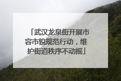 武汉龙泉街开展市容市貌规范行动，维护街道秩序不动摇