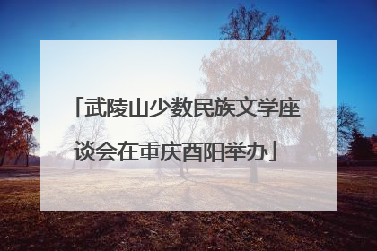 武陵山少数民族文学座谈会在重庆酉阳举办