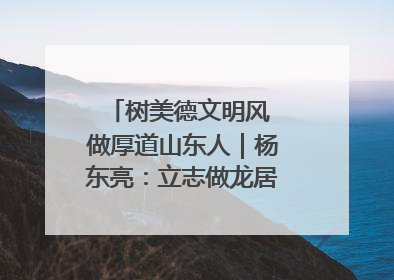 树美德文明风 做厚道山东人｜杨东亮：立志做龙居的“小丸童”