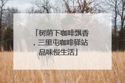 树荫下咖啡飘香，三里屯咖啡驿站品味慢生活