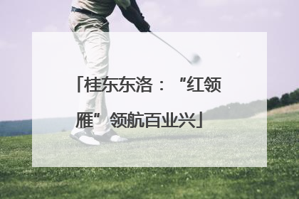 桂东东洛：“红领雁”领航百业兴