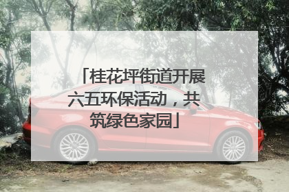 桂花坪街道开展六五环保活动，共筑绿色家园