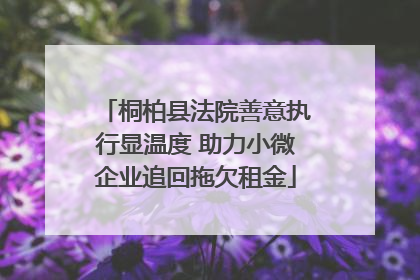 桐柏县法院善意执行显温度 助力小微企业追回拖欠租金