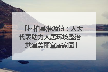 桐柏县淮源镇：人大代表助力人居环境整治 共建美丽宜居家园