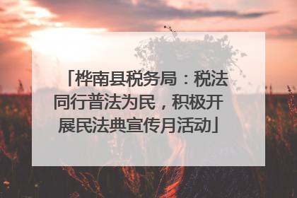 桦南县税务局：税法同行普法为民，积极开展民法典宣传月活动
