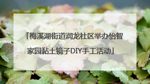 梅溪湖街道润龙社区举办怡智家园黏土镜子DIY手工活动