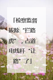 检察监督拔除“拦路虎”，占道电线杆“让路”了
