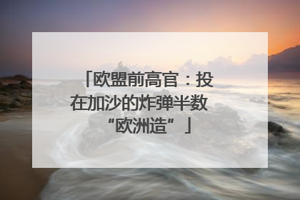 欧盟前高官：投在加沙的炸弹半数“欧洲造”