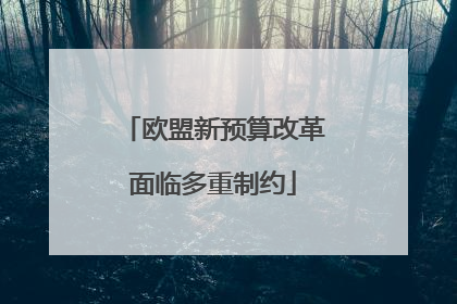 欧盟新预算改革面临多重制约