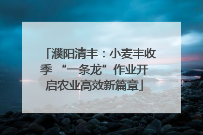 濮阳清丰：小麦丰收季 “一条龙”作业开启农业高效新篇章