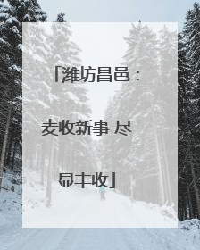 潍坊昌邑：麦收新事 尽显丰收
