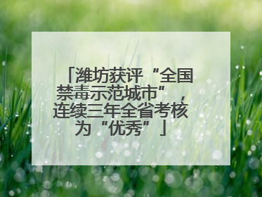 潍坊获评“全国禁毒示范城市”，连续三年全省考核为“优秀”