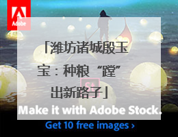 潍坊诸城殷玉宝：种粮“蹚”出新路子