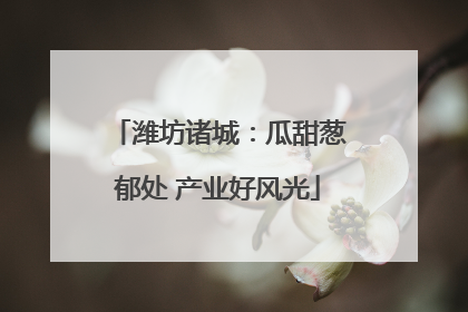 潍坊诸城：瓜甜葱郁处 产业好风光