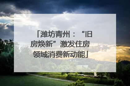 潍坊青州：“旧房焕新”激发住房领域消费新动能