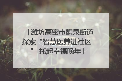 潍坊高密市醴泉街道探索“智慧医养进社区” 托起幸福晚年