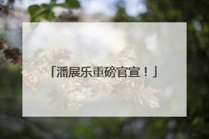 潘展乐重磅官宣！