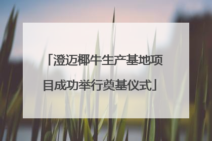 澄迈椰牛生产基地项目成功举行奠基仪式