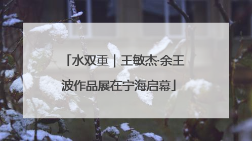 水双重｜王敏杰·余王波作品展在宁海启幕