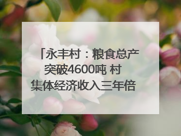 永丰村：粮食总产突破4600吨 村集体经济收入三年倍增｜牵挂的村
