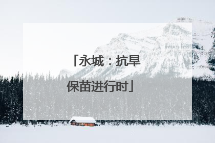 永城：抗旱保苗进行时
