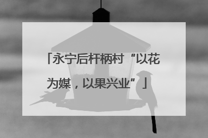 永宁后杆柄村“以花为媒，以果兴业”