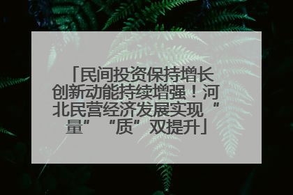 民间投资保持增长 创新动能持续增强！河北民营经济发展实现“量”“质”双提升