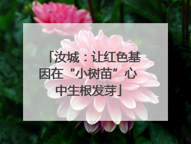 汝城：让红色基因在“小树苗”心中生根发芽