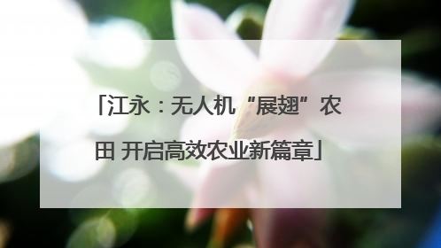 江永：无人机“展翅”农田 开启高效农业新篇章