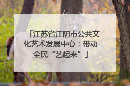 江苏省江阴市公共文化艺术发展中心：带动全民“艺起来”
