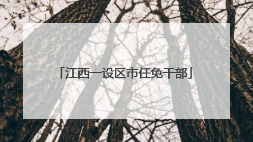 江西一设区市任免干部