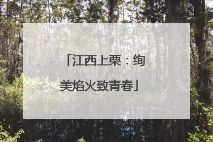 江西上栗：绚美焰火致青春