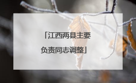 江西两县主要负责同志调整