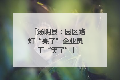 汤阴县：园区路灯“亮了”企业员工“笑了”