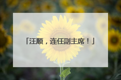 汪顺，连任副主席！