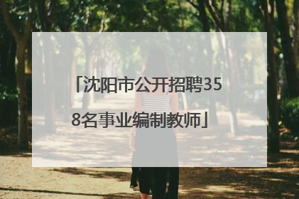 沈阳市公开招聘358名事业编制教师