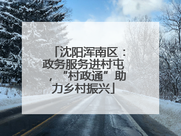 沈阳浑南区：政务服务进村屯，“村政通”助力乡村振兴