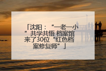 沈阳：“一老一小”共学共悟 档案馆来了30位“红色档案修复师”