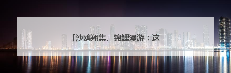 沙鸥翔集、锦鲤漫游：这处工业岸线变身生态长廊
