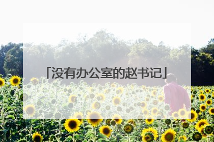 没有办公室的赵书记