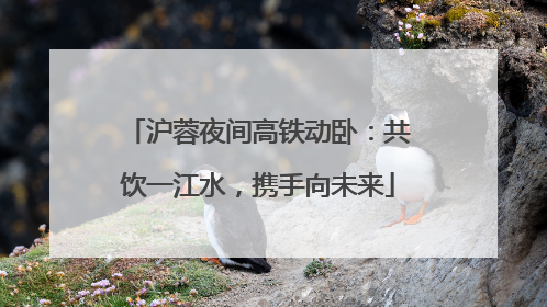 沪蓉夜间高铁动卧：共饮一江水，携手向未来