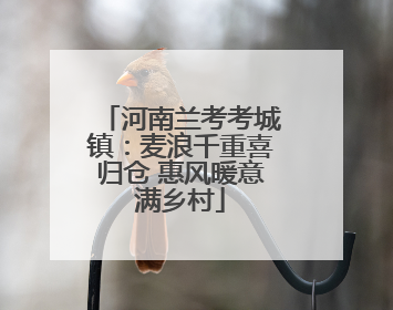 河南兰考考城镇：麦浪千重喜归仓 惠风暖意满乡村