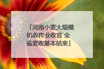 河南小麦大规模机收作业收官 全省麦收基本结束