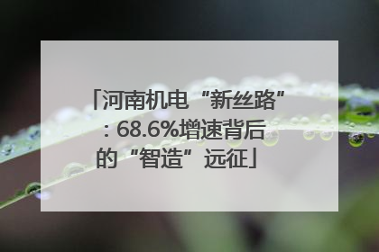 河南机电“新丝路”：68.6%增速背后的“智造”远征