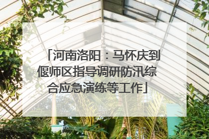 河南洛阳：马怀庆到偃师区指导调研防汛综合应急演练等工作