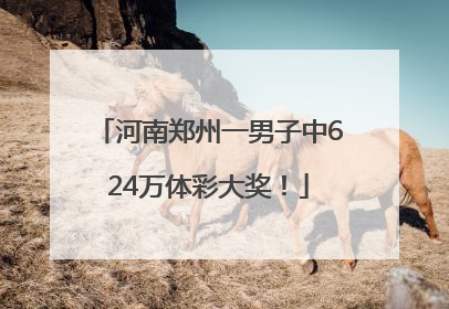 河南郑州一男子中624万体彩大奖！